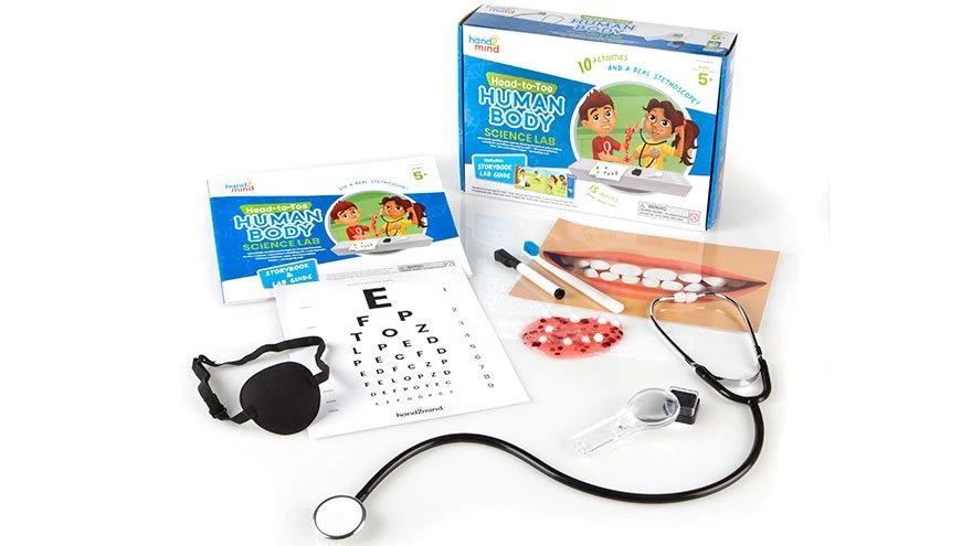 Hand2Mind Head-To-Toe Human Body Science Lab Container - Image 2